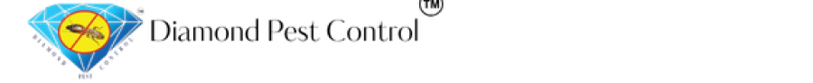 Untitled design (6)